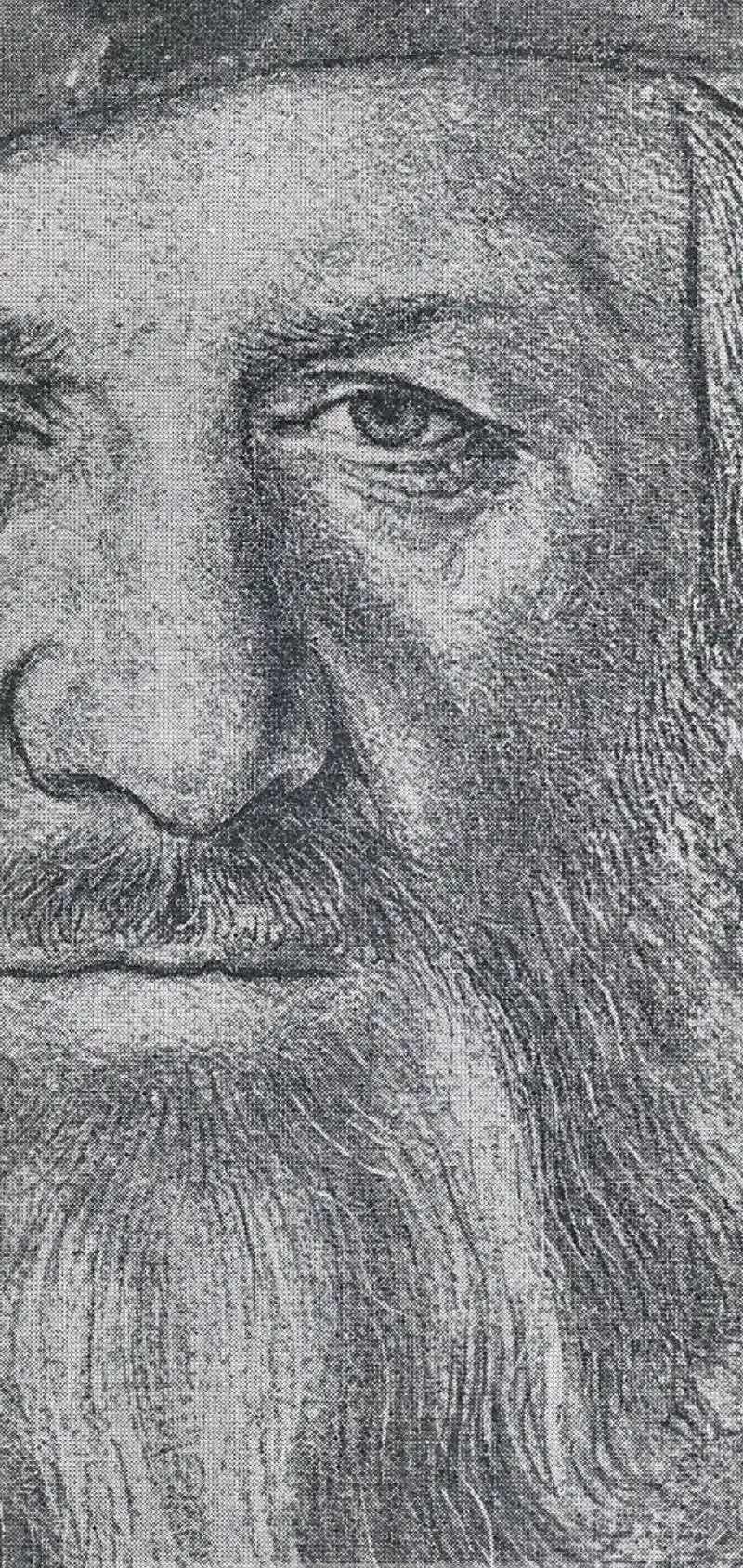 线性素描的天花板简单线条中拥有着绝对的严谨荷尔拜因