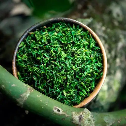 峨眉山正品2018新茶特级嫩芽野生小叶苦丁茶青山绿水散装罐装250g