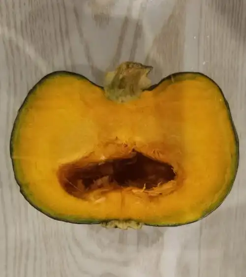 这个贝贝南瓜是来报恩的吧