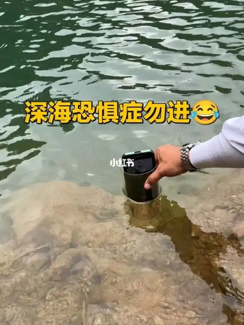 深海恐惧症勿进