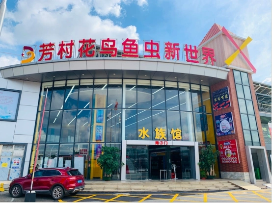 越和关闭后,芳村花鸟鱼虫新世界迎来商户"进场热"