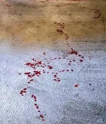 他们为保护学生浴血擒歹徒流血追击千米有图