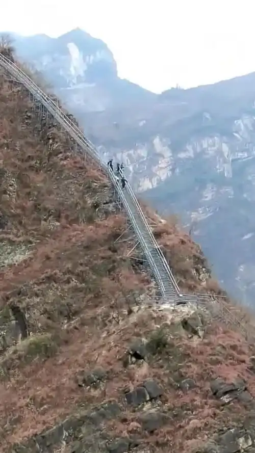 大凉山悬崖村的天梯,村民上上下下健步如飞,我却爬得只剩半条命