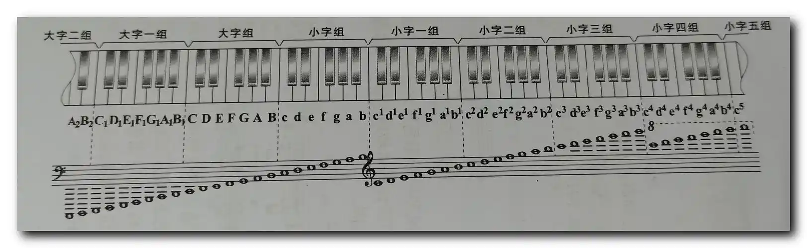 【音乐理论】音与音高 ( 音区 | 小字一组 | 小字组 | 大字组 )