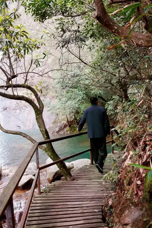 隐居山林这种事,48小时就够了