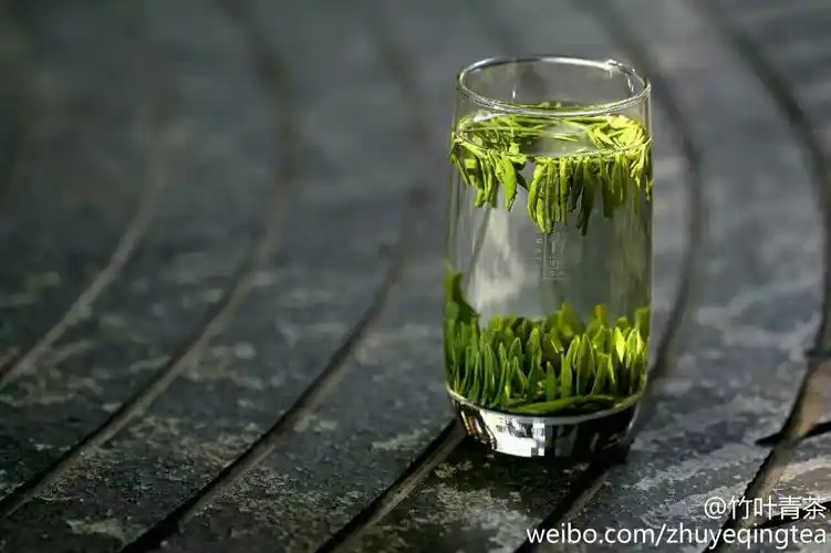 竹叶青首批春茶马上到张家口店,这杯绿茶,您久等了