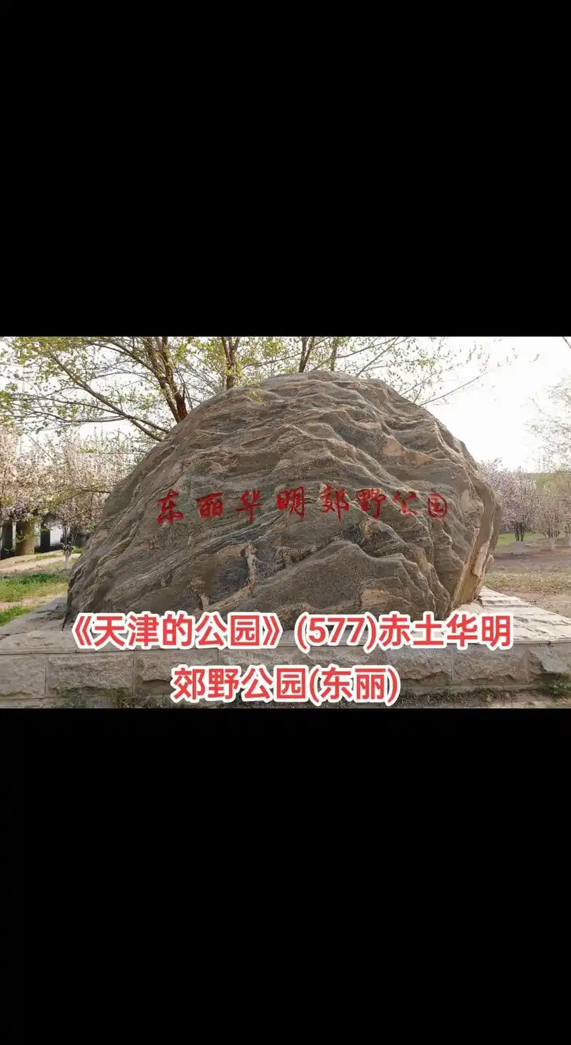 天津的公园577赤土华明郊野公园天津的公园577赤土华明郊野公园东丽