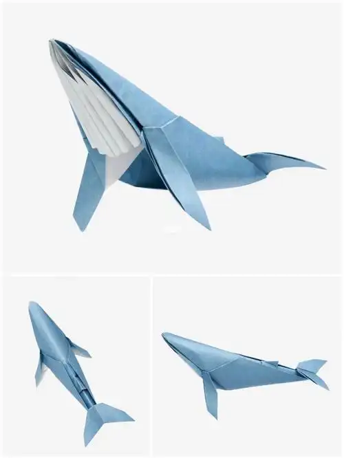 67座头鲸设计:宫永智悠折叠:深海阿凡用纸:35cm教育折纸先谢一波卢