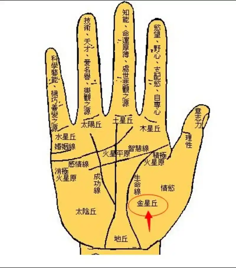 当你熬过了三关 六劫 九难  手掌有了痣 好运就来了!金星 - 抖音