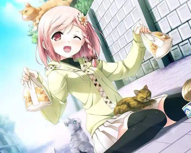 动漫女孩与猫咪 壁纸 - 1280x1024