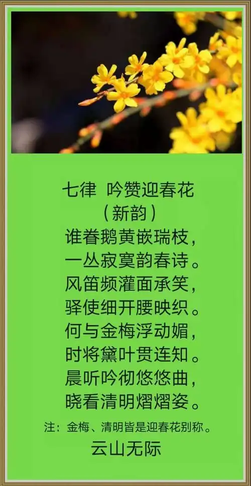 《七律·吟赞迎春花》 制图:孙在伦