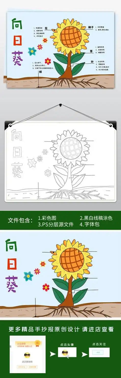 向日葵手抄报既简单又漂亮 手抄报简单又漂亮