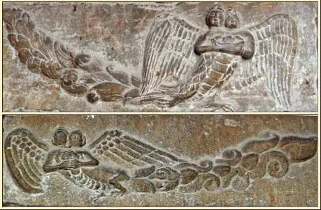 舍利弗,彼国常有种种奇妙杂色之鸟,白鹤,孔雀,鹦鹉,舍利,迦陵频伽,共