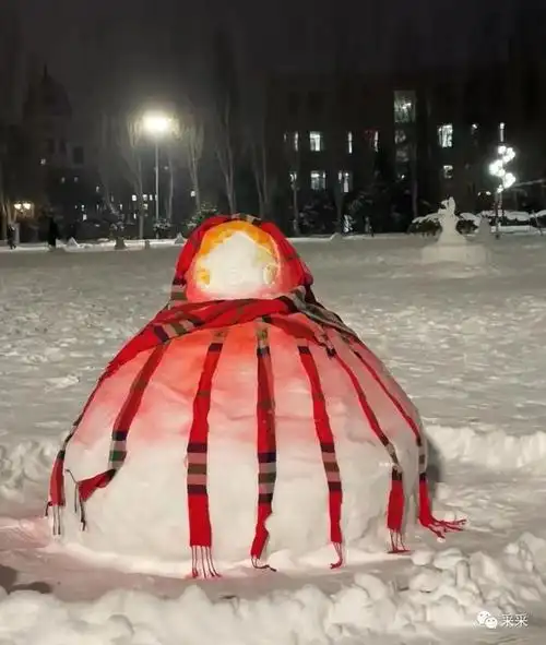哈尔滨酒鬼雪人见过吗医学生堆的雪人也太符合形象了吧哈哈