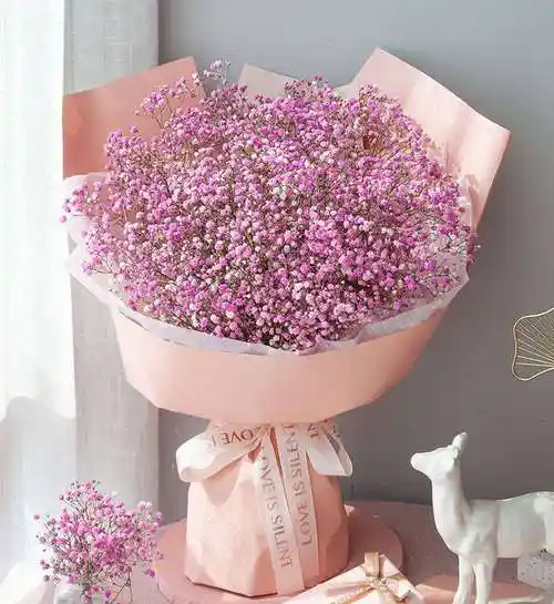 花语 我携满天星辰以赠你,仍觉满天星辰不及你 材料 粉色满天星5