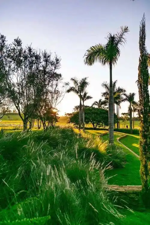 微地形,国外效果图大片来了_草坪