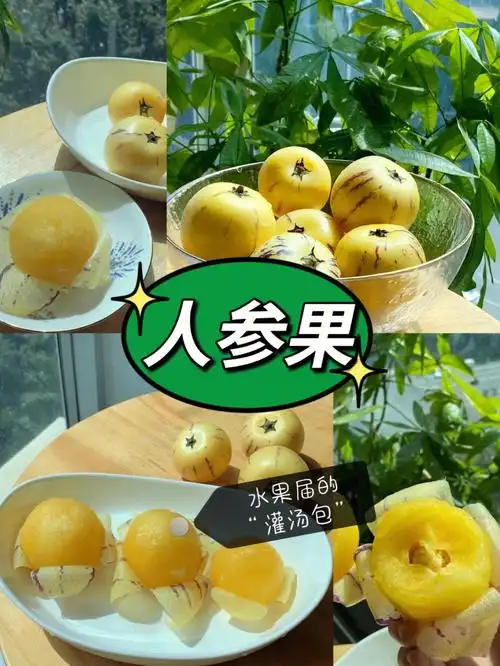 今天吃什么好呢人参果水果灌汤包