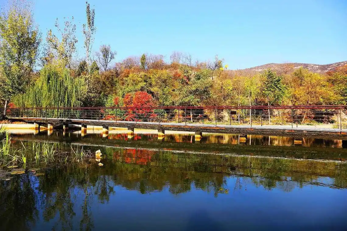 濮阳市秋季旅游景点推荐 濮阳市位于河南省东北部,是一个历史悠久