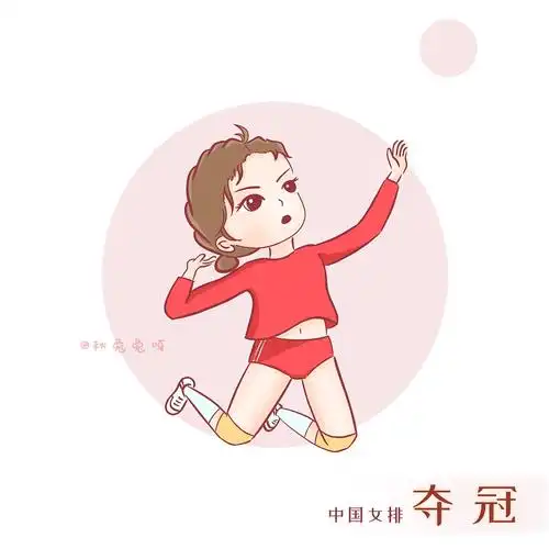 中国女排!夺冠!致敬!