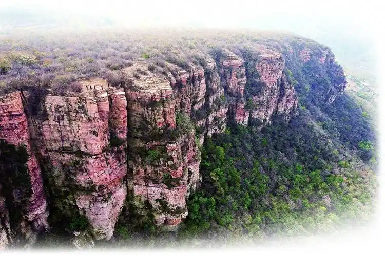 旅游特色村--寺上村2018年,这棵千年青冈树荣登汝州市古树保护名录