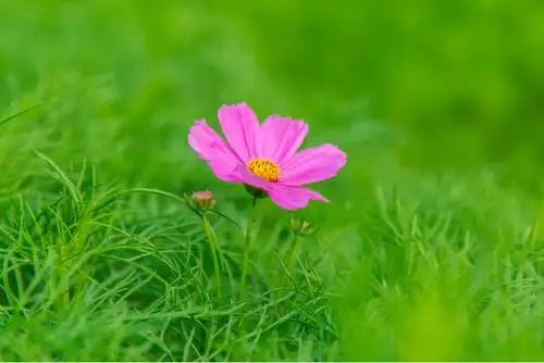 人运气不好的根源在这2个字!改变这一样,带给你一生好运