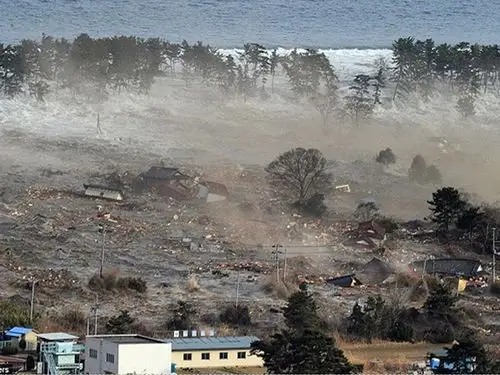 金丰小水滴发起日本311地震一日捐活动