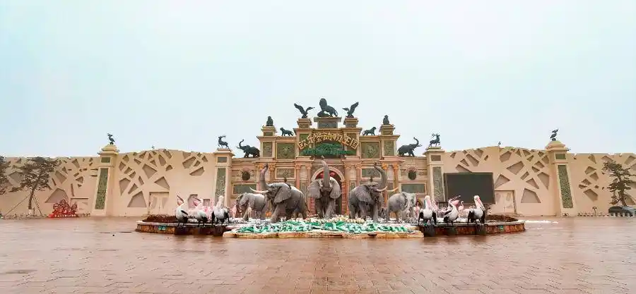 齐河的动物王国年味浓,12只萌虎伴你过大年,与济南只一河之隔