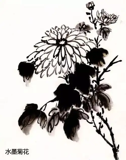 图文教程菊花的写意画法