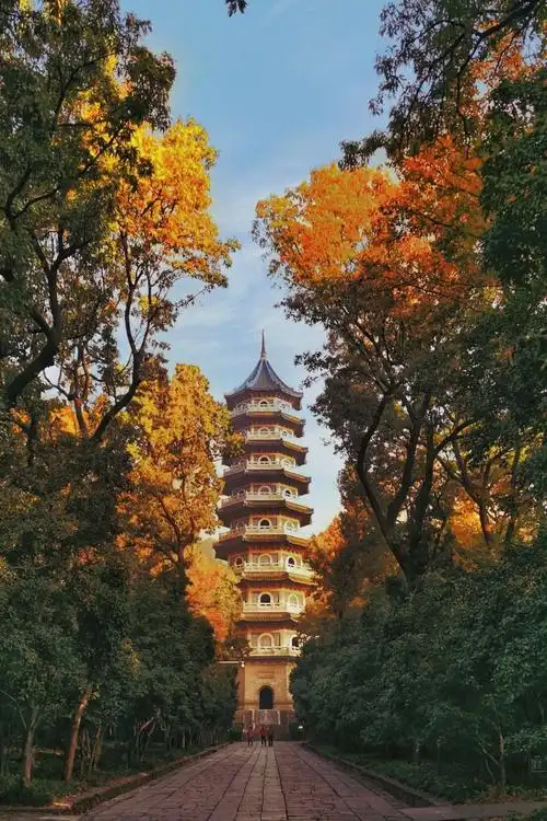 【钟山秋韵】寻找钟山最美的秋天