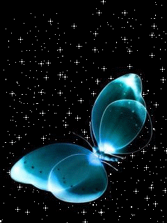 蝴蝶图片 -唯美图片大全