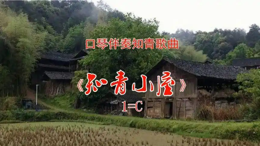 口琴伴奏知青歌曲《知青小屋》1=c