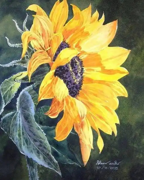 向阳而生的水彩向日葵画得真美