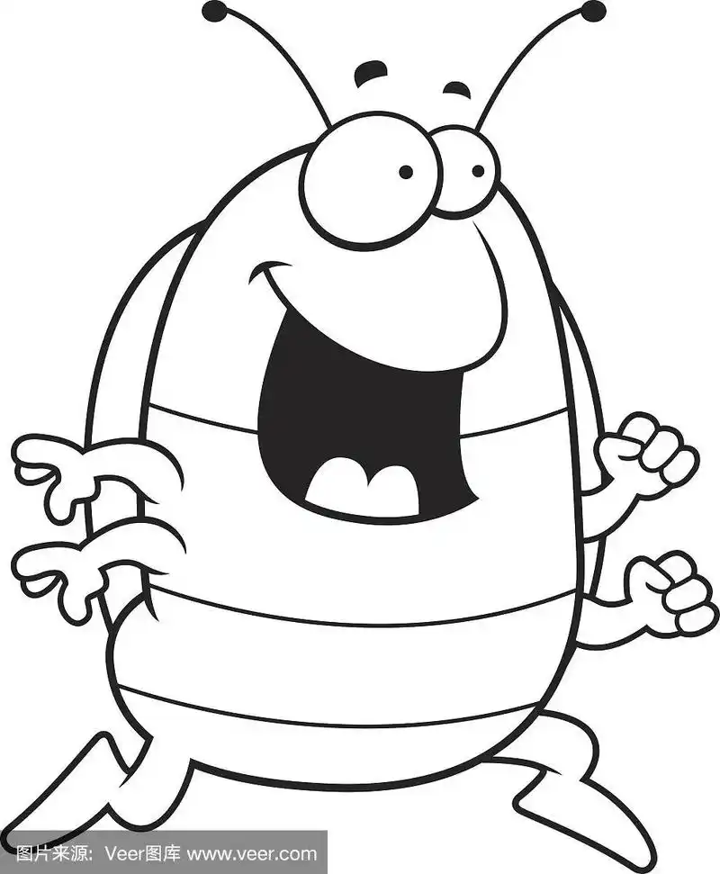 潮虫,昆虫,矢量,害虫,图像