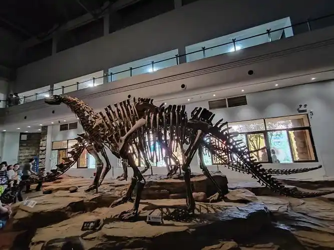 四十年后再游自贡恐龙博物馆