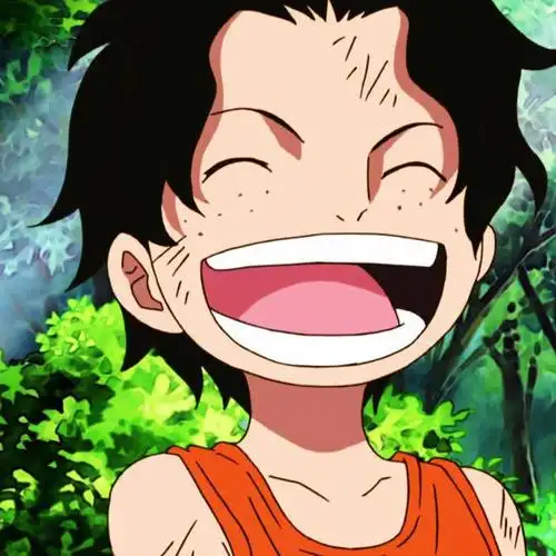 海贼王头像 |小时候的艾斯