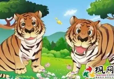 生肖男属虎跟女属羊配吗