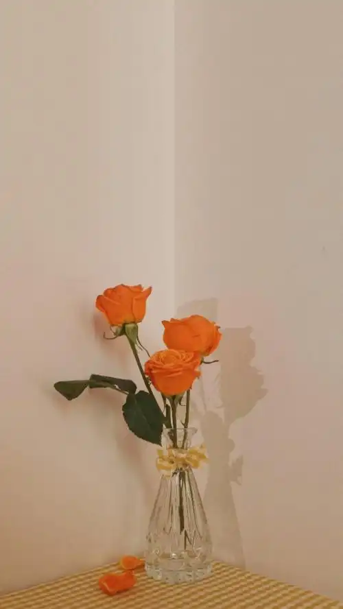 清新唯美的正能量句子,豁达睿智,发朋友圈了