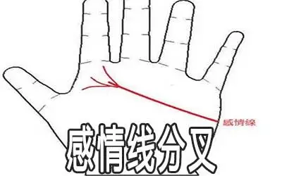 女人感情线分叉是不好的吗