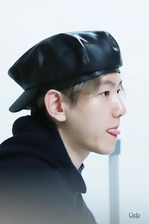 芭兰歌林代言人边伯贤