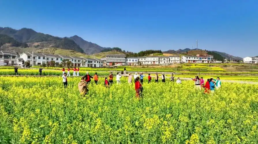 竹溪县2024年最美赏花季 暨"竹溪四季"全国摄影大赛即将精彩启幕 - 文