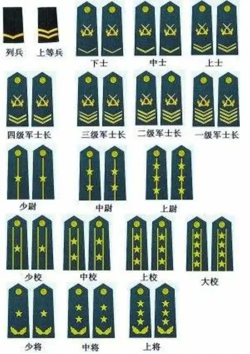 能识别军衔资历章却不知怎么识别三分钟带你轻松涨知识