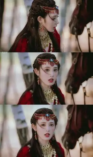 将门小可爱的相册-《东宫》西洲枫