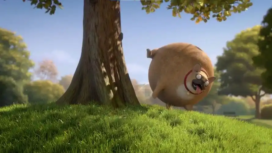 动画短片rollinwild