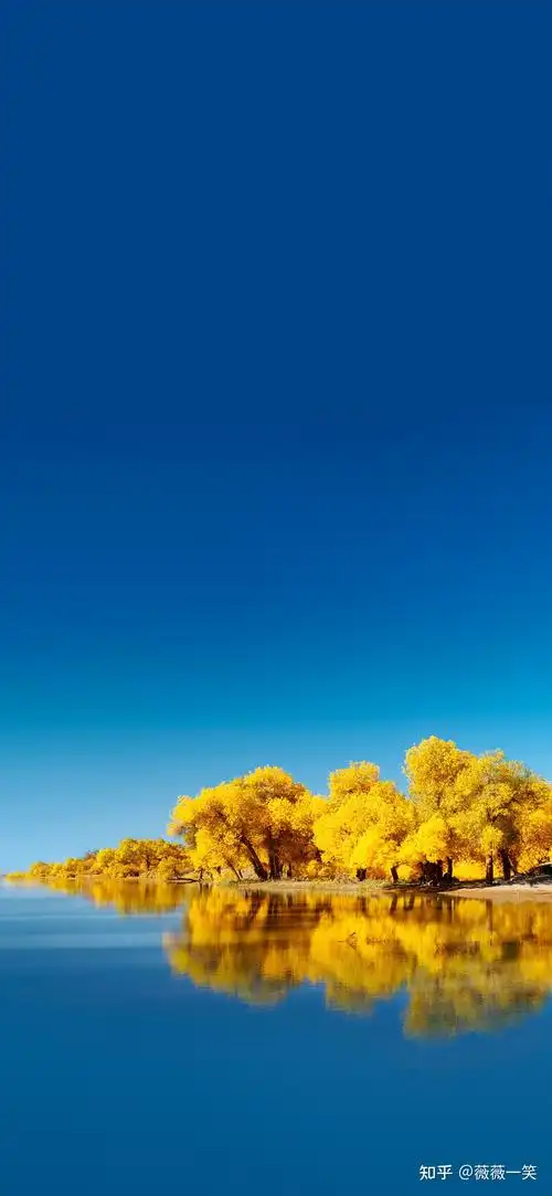 华为的壁纸,通过融合真实元素为手机制作壁纸,给人的第一感觉就是赏心