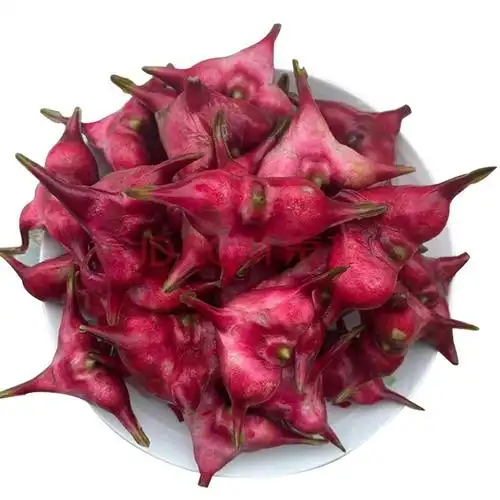 四角红菱嘉兴特产南湖嫩红菱新鲜菱角3/10斤带壳现摘 5斤装