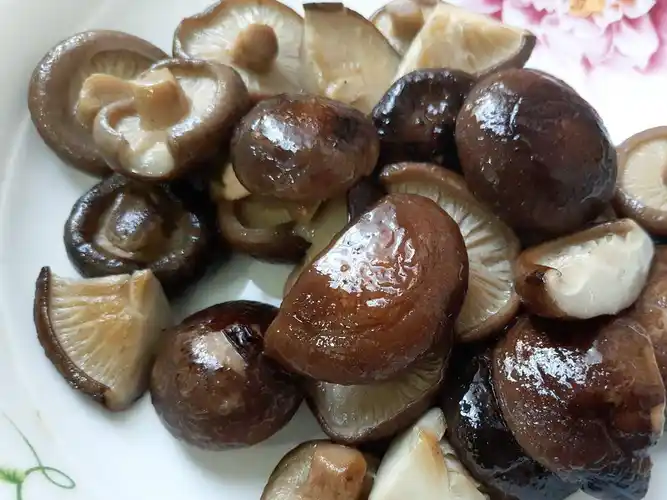 市场博物:干香菇三态——花菇,冬菇,香信,如何各尽其_