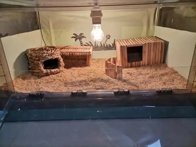 芦丁鸡鸡窝diy效果图