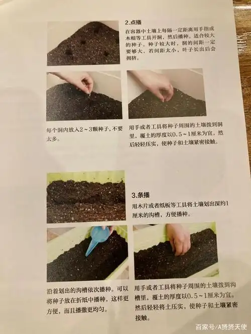 阳台种菜的基础知识(下)