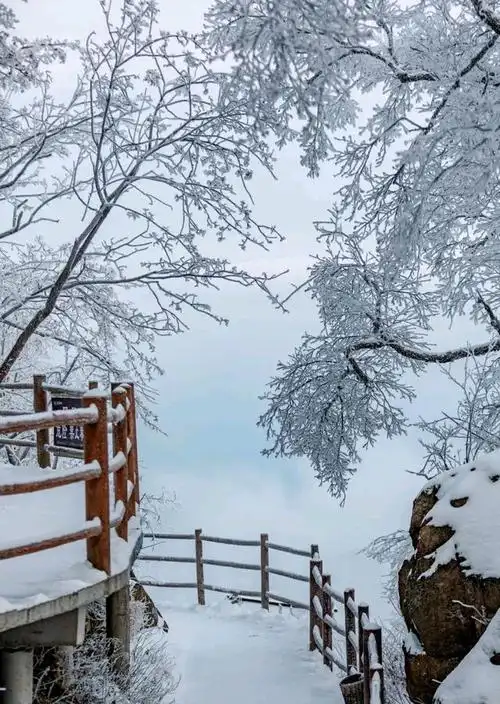 漂亮!栾川老君山上的雪景如童话世界!