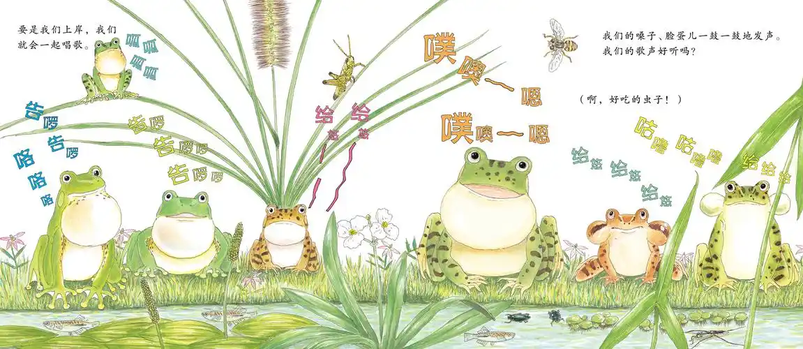 童书 儿童绘本 云南科技出版社 青蛙一家 3-7岁 松冈达英新作彭懿译